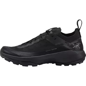 Мужские туфли Vertex Alpine GTX Arcteryx, черный