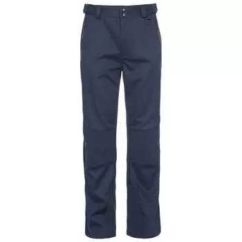 Мужские водонепроницаемые брюки Holloway DLX Trespass, синий