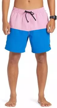 Мужские волейбольные шорты Quiksilver с логотипом Butt Logo 17 дюймов