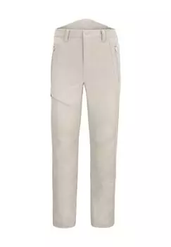 Мужские зимние брюки софтшелл Basin normani, бежевый