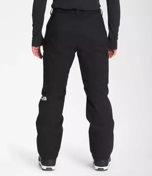 Мужские зимние брюки The North Face Freedom NF0A5ABU, черный
