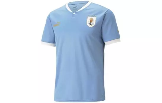 Мужское футбольное джерси Puma, цвет Blue