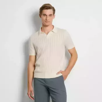 Мужской элегантный свитер-поло с воротником-стойкой Van Heusen, цвет egret