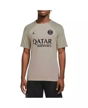 Мужской брендовый серый джерси Paris Saint-Germain Strike реглан Performance Jordan, серый