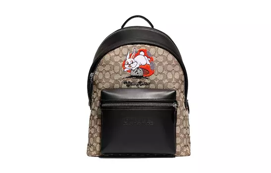 Мужской чартерный рюкзак COACH, Khaki with black