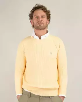 Мужской джемпер English Point гладкий El Ganso, желтый