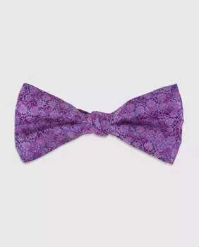 Мужской галстук-бабочка Olimpo, фиолетовый