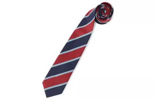 Галстук мужской Gucci, красный / синий