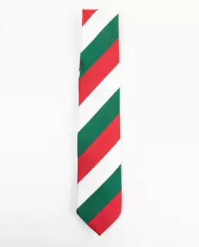 Мужской галстук с разноцветным полосатым принтом El Ganso, мультиколор