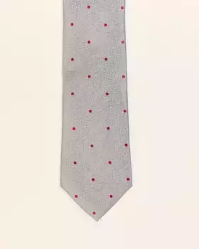 Мужской галстук в горошек PuroEgo, светло-серый