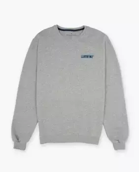 Мужской хлопковый свитшот с круглым вырезом Makarthy, серый