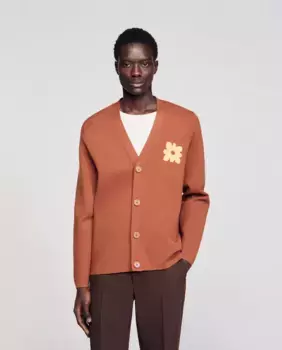 Мужской кардиган с цветочным принтом Sandro, коричневый