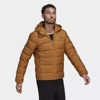 Мужской пуховик Adidas, коричневый