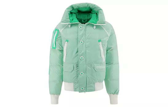 Мужской пуховик Canada Goose, светло-зеленый