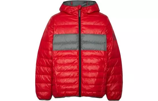 Мужской пуховик COACH, цвет Blue