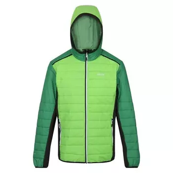 Мужской пуховик Regatta, зеленый/темно-зеленый
