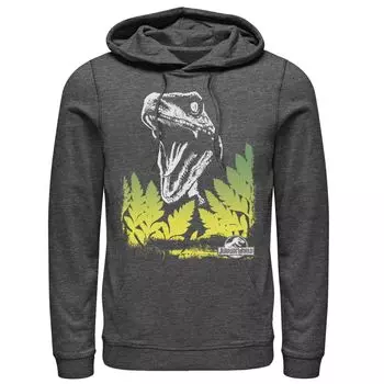 Мужской пуловер с капюшоном и рисунком Jurassic World Raptor Roaring Behind Busches Licensed Character