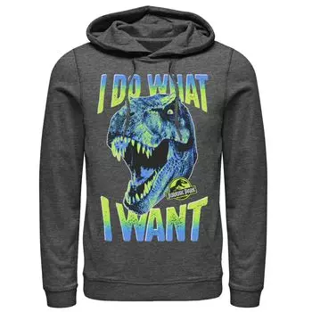 Мужской пуловер с капюшоном и рисунком «Парк Юрского периода T-Rex I Do What I Want» Licensed Character