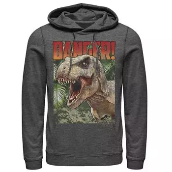 Мужской пуловер с капюшоном и рисунком в стиле Юрского периода Danger T-Rex в стиле ретро Licensed Character