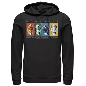Мужской пуловер с капюшоном и символами Дома Хогвартса Harry Potter
