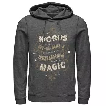 Мужской пуловер с капюшоном Words is Magic Harry Potter