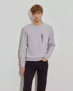 Мужской серый свитер на молнии Lion of Porches