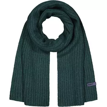 Мужской шарф Banxs Barts, зеленый