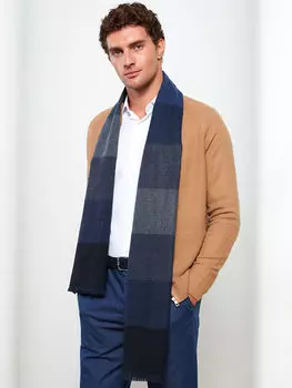 Мужской шарф с цветными блоками и кисточками LCW Accessories