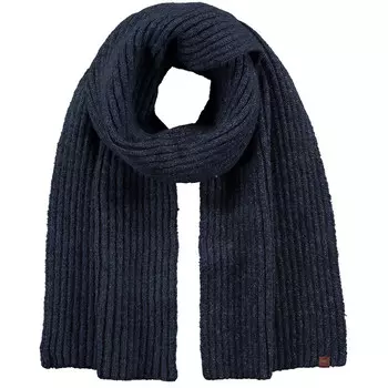 Мужской шарф Wyon Barts, синий