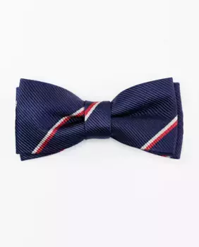 Мужской шелковый галстук-бабочка с полосатым принтом El Ganso, синий