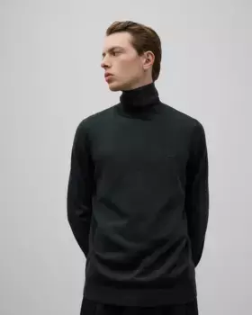 Мужской свитер Perkins с воротником из мериносовой шерсти Adolfo Dominguez, темно-зеленый