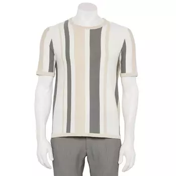 Мужской свитер-поло с короткими рукавами и вертикальной полоской For The Republic, серый