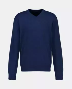 Мужской свитер с V-образным вырезом из смеси хлопка и шерсти Lloyd's, темно-синий