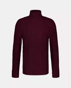 Мужской свитер с высоким воротником Easy Wear, цвет Granate