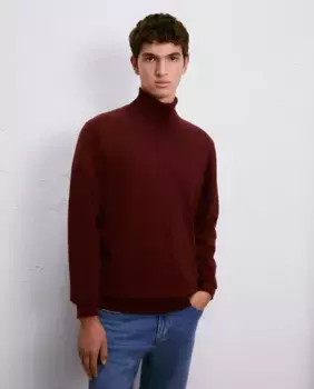 Мужской свитер с высоким воротником Easy Wear, фиолетовый