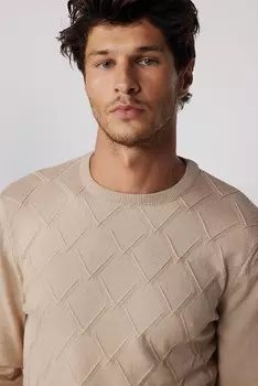 Мужской свитер Slim Fit с круглым вырезом и рисунком камня TUDORS