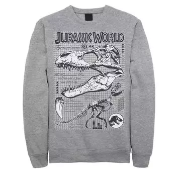 Мужской свитшот Jurassic World Fallen Kingdom Bones Licensed Character