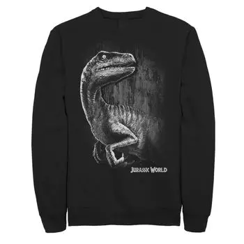 Мужской свитшот Jurassic World Raptor Smile Licensed Character