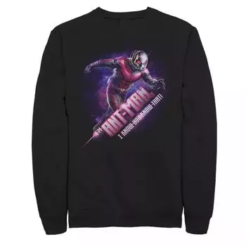 Мужской свитшот с изображением Человека-муравья Marvel Avengers Endgame Licensed Character