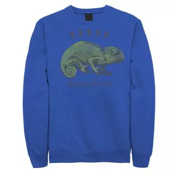 Мужской свитшот с портретом Comma Chameleon Licensed Character