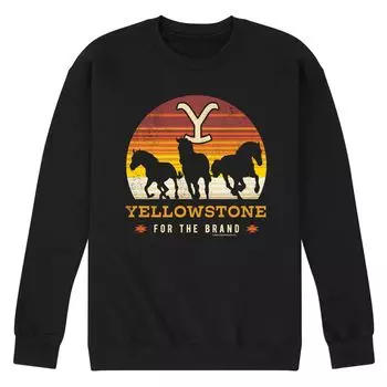 Мужской свитшот Yellowstone Wild Horses Licensed Character