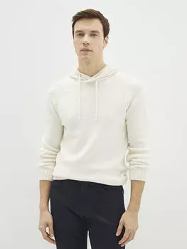 Мужской трикотажный свитер с капюшоном и длинными рукавами LCWAIKIKI Classic