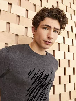 Мужской трикотажный свитер с круглым вырезом и длинным рукавом с принтом LCW Vision