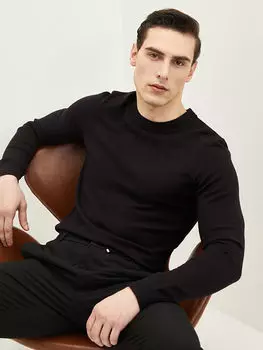 Мужской трикотажный свитер с круглым вырезом и длинными рукавами LCW Vision