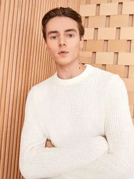 Мужской трикотажный свитер с круглым вырезом и длинными рукавами LCWAIKIKI Classic