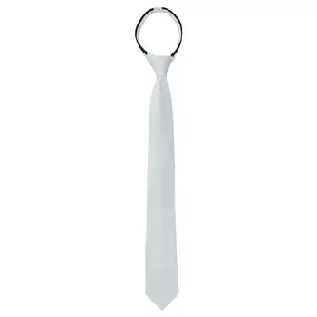 Мужской узкий однотонный однотонный галстук на молнии с регулируемым ремешком на шею, свадебный галстук для жениха ALLEGRA K, цвет Silver Gray