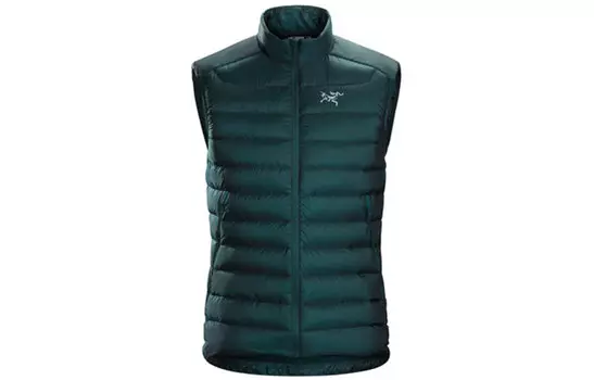 Мужской жилет Arcteryx, цвет Black