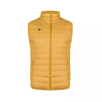 Мужской жилет для треккинга и альпинизма Izas TYREE M, цвет gelb