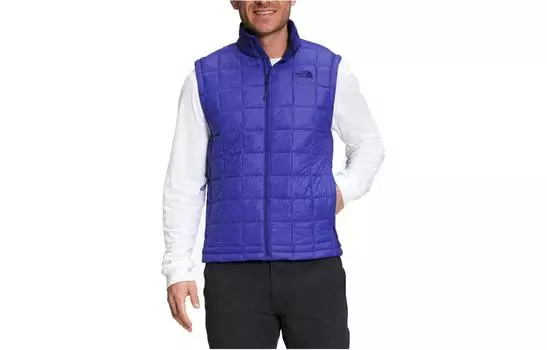 Мужской жилет THE NORTH FACE, цвет Blue