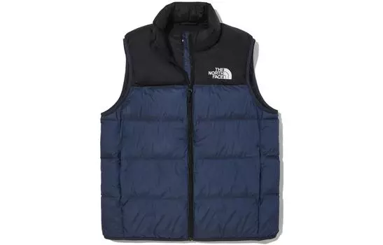 Мужской жилет THE NORTH FACE, цвет Blue